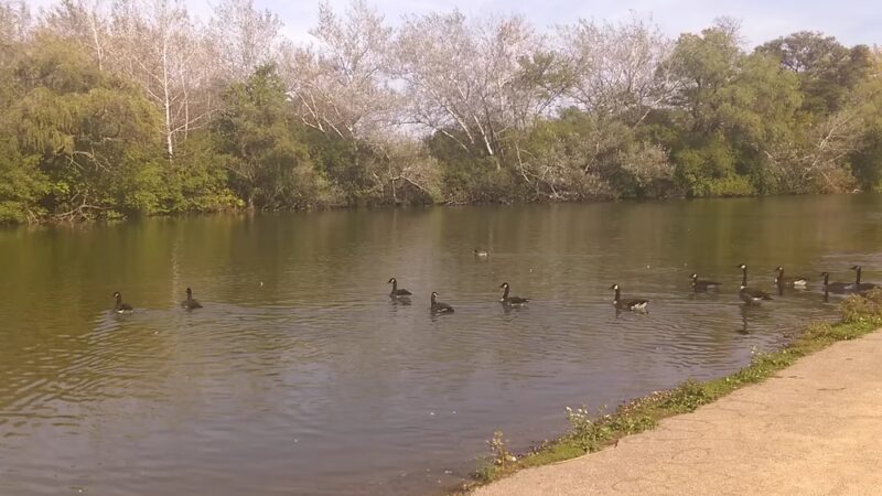 Marquette Park - Chicago, IL