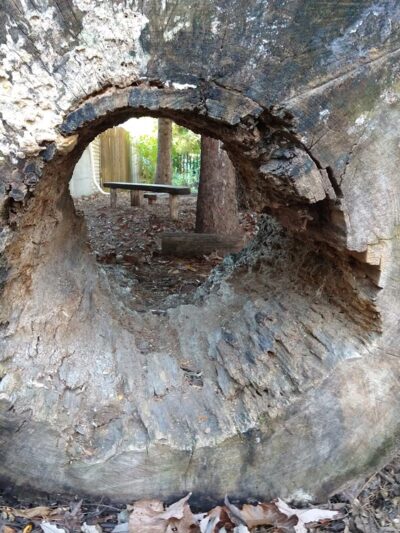 McKinley Community Play Garden - Chicago, IL