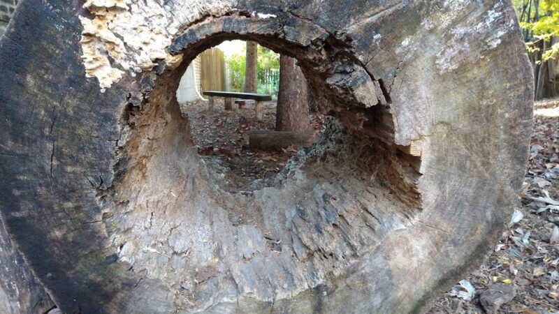 McKinley Community Play Garden - Chicago, IL