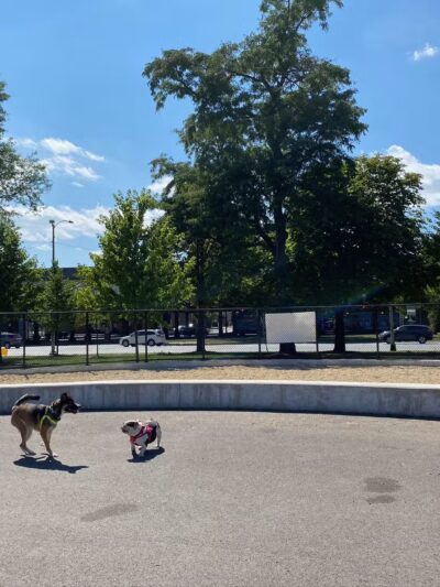 McKinley Dog Park - Chicago, IL