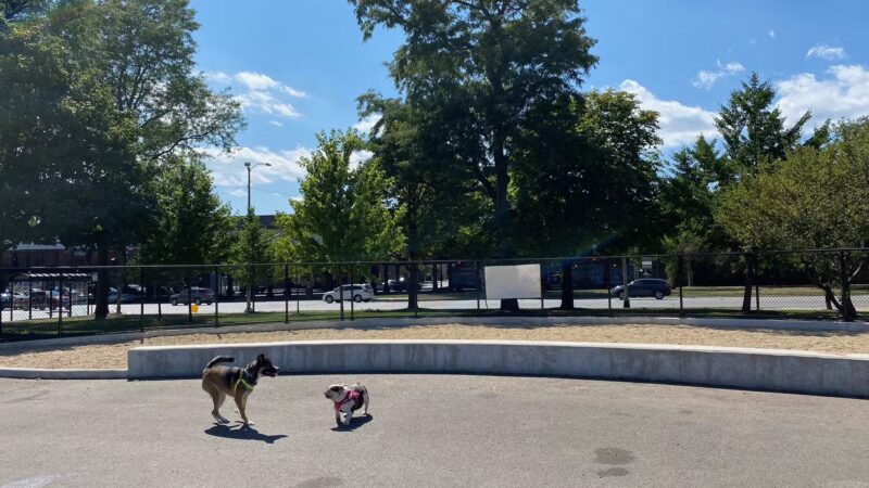 McKinley Dog Park - Chicago, IL
