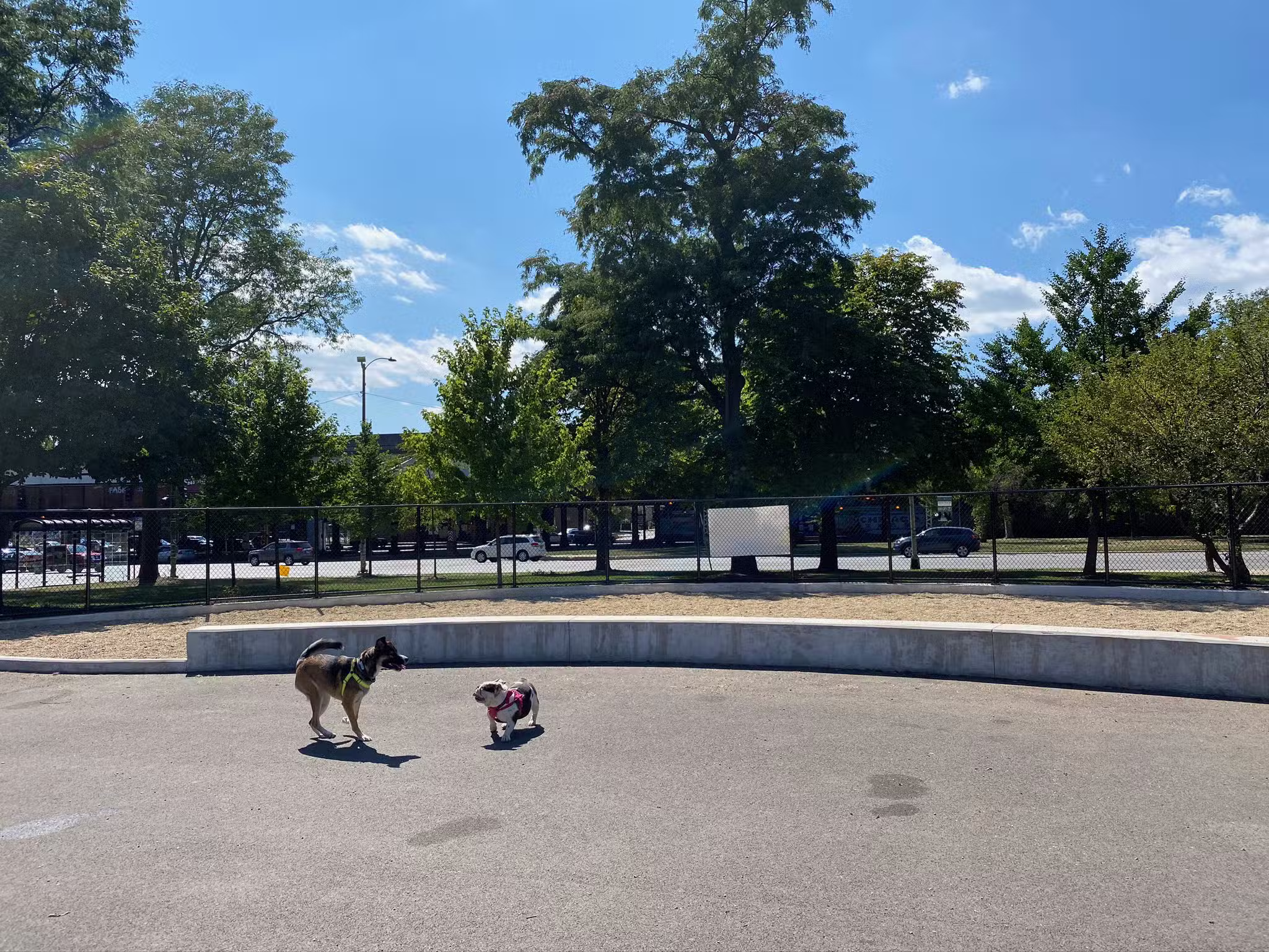 McKinley Dog Park - Chicago, IL