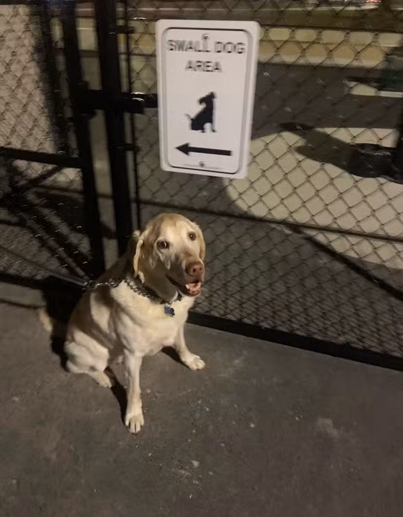 McKinley Dog Park - Chicago, IL