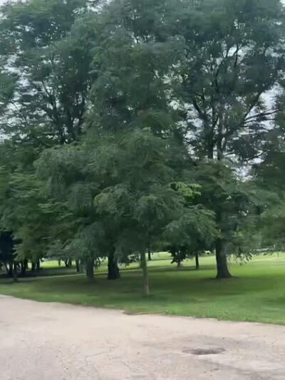 McKinley (William) Park - Chicago, IL