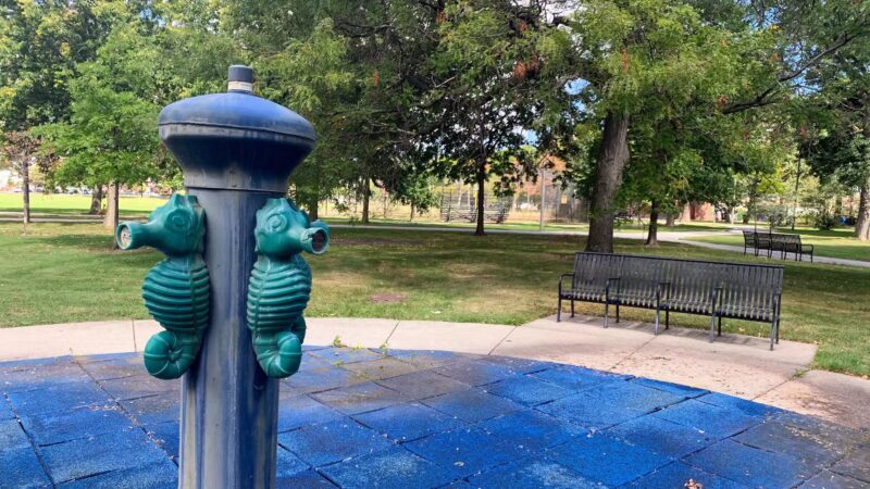 Oakdale Park - Chicago, IL