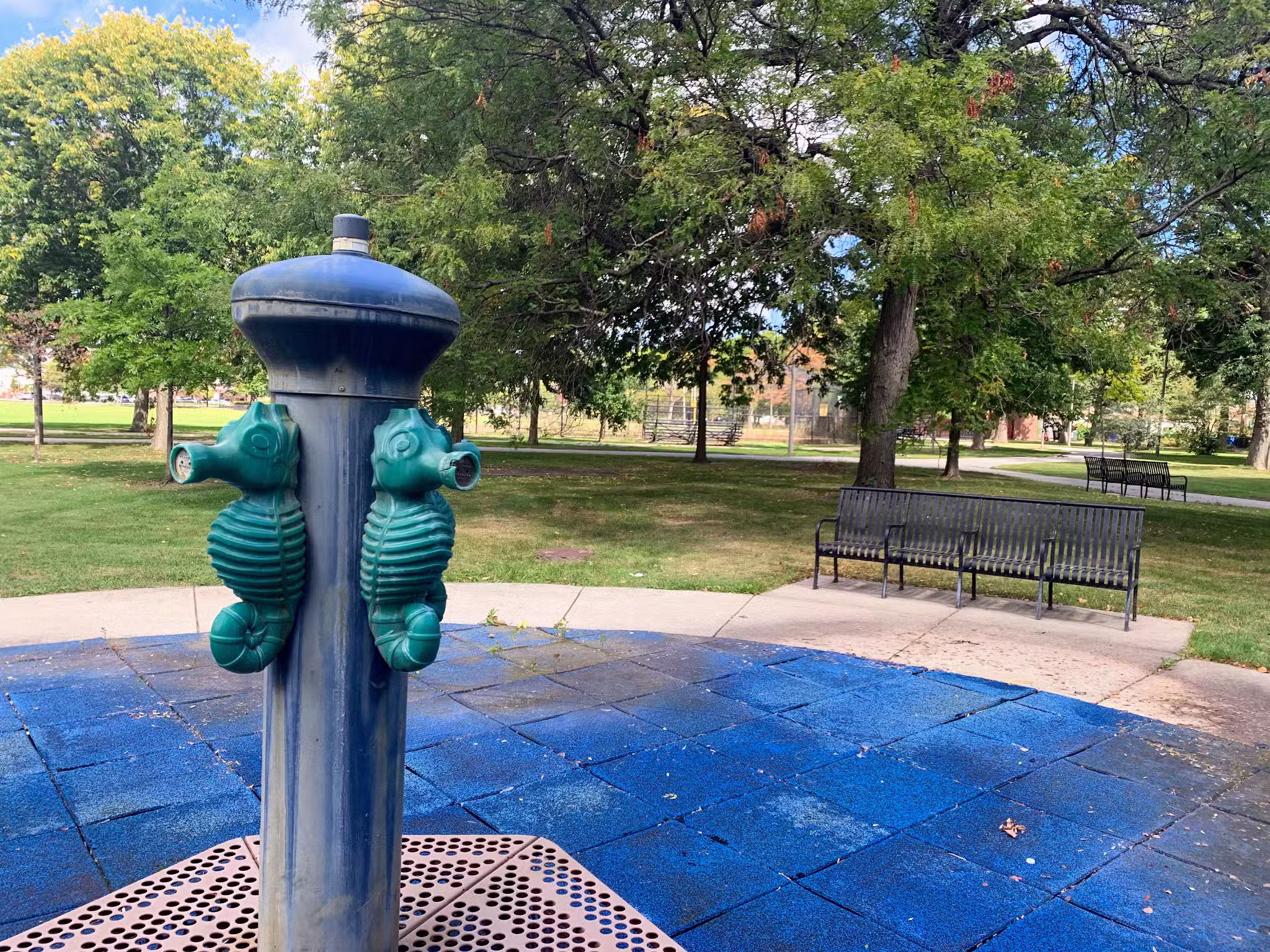 Oakdale Park - Chicago, IL