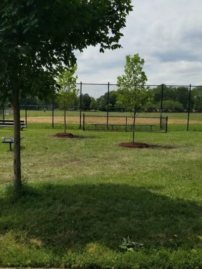 Owens Park - Chicago, IL