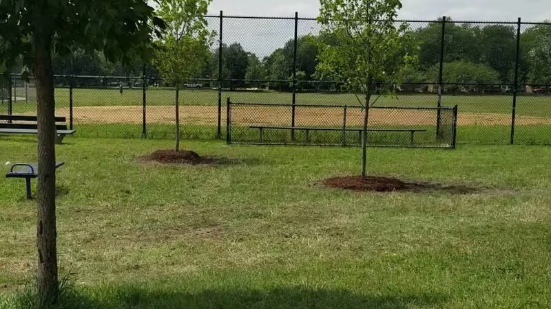 Owens Park - Chicago, IL