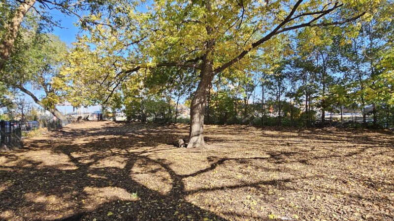 Park #536 - Chicago, IL