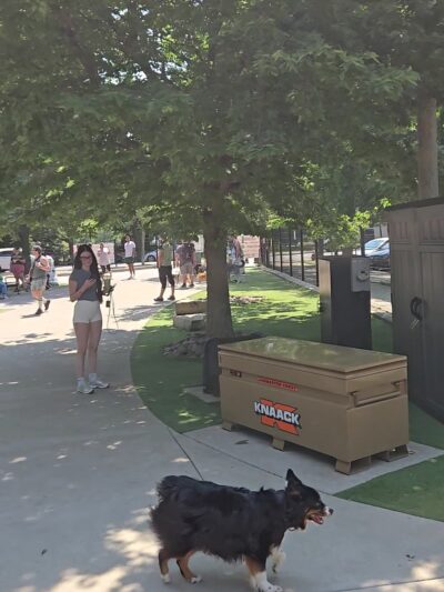 Park #569 - Chicago, IL