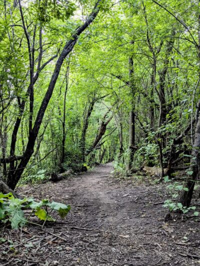 Park No. 538 - Chicago, IL