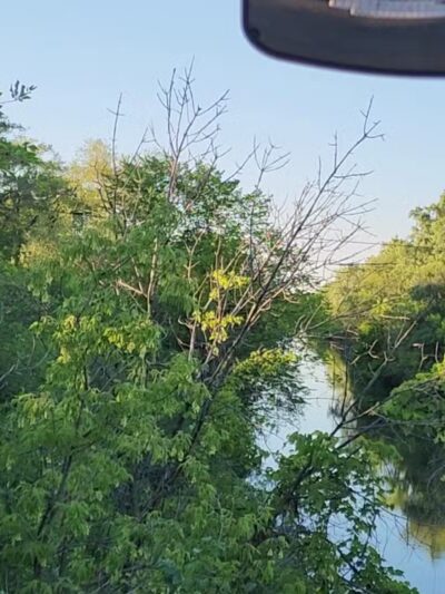 Park No. 538 - Chicago, IL