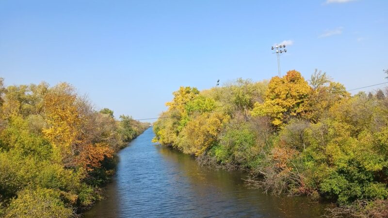 Park No. 538 - Chicago, IL