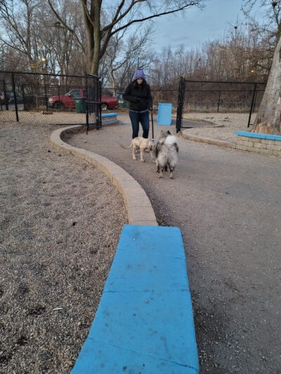 Pottawattomie Park Dog Friendly Area - Chicago, IL