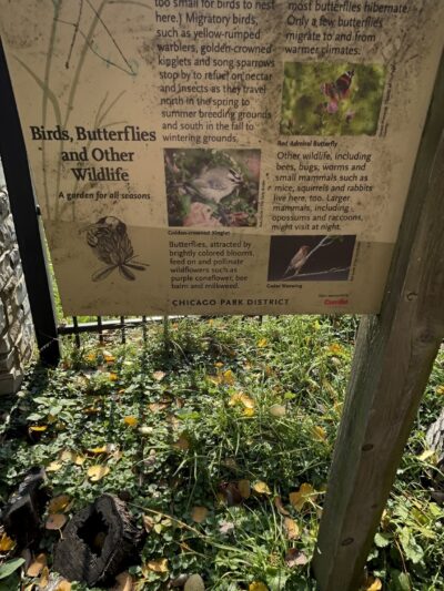 Prospect Gardens Park - Chicago, IL