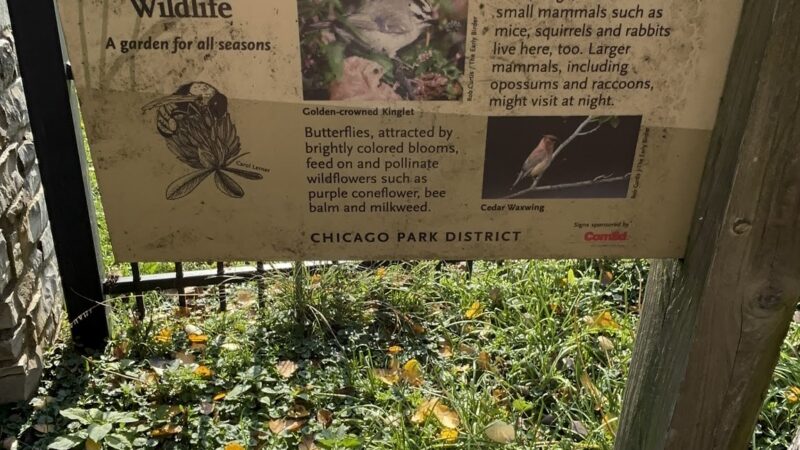 Prospect Gardens Park - Chicago, IL