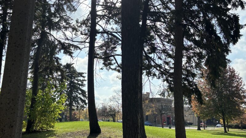 Prospect Gardens Park - Chicago, IL