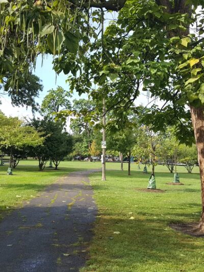 Roberts (David) Square Park - Chicago, IL