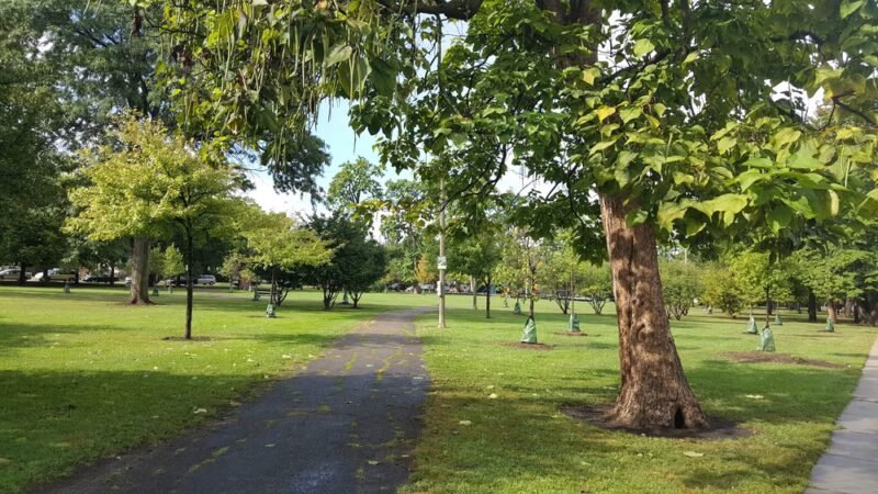 Roberts (David) Square Park - Chicago, IL