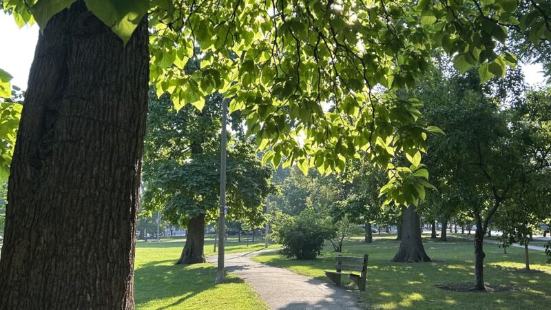 Roberts (David) Square Park - Chicago, IL
