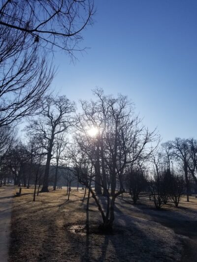 Roberts (David) Square Park - Chicago, IL