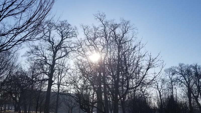 Roberts (David) Square Park - Chicago, IL