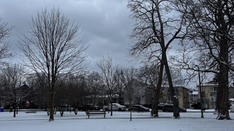 Roberts (David) Square Park - Chicago, IL