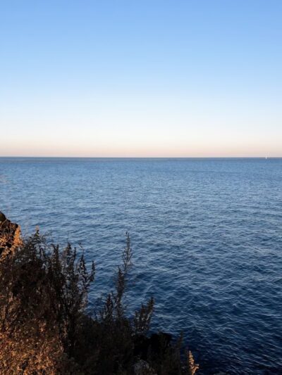 Schafer (Clara D.) Park - Chicago, IL