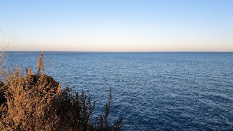 Schafer (Clara D.) Park - Chicago, IL