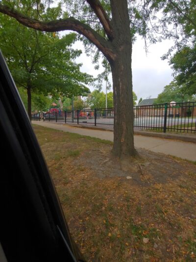 Shedd (John G.) Park - Chicago, IL
