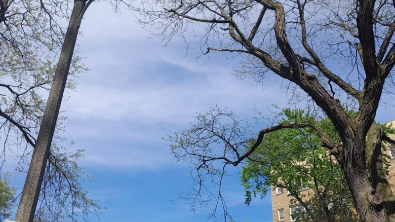 Spruce Park syb drexside - Chicago, IL