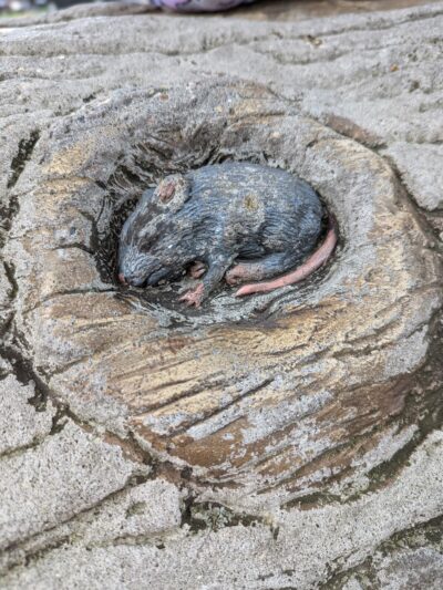 Spruce Park syb drexside - Chicago, IL