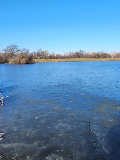 Tarkington Park - Chicago, IL