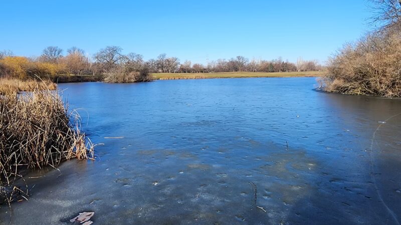 Tarkington Park - Chicago, IL