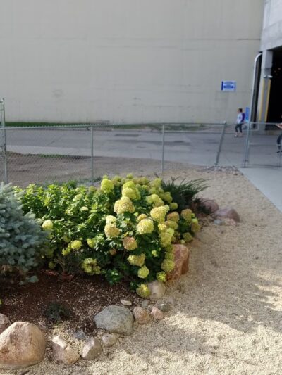 Temporary dog park - Chicago, IL