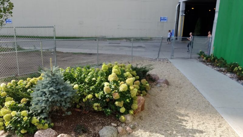Temporary dog park - Chicago, IL