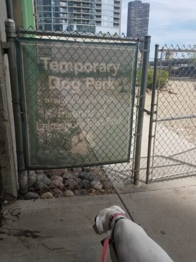 Temporary dog park - Chicago, IL