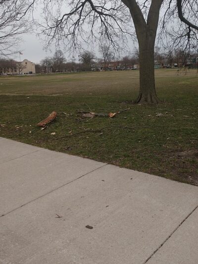 Tuley Park - Chicago, IL