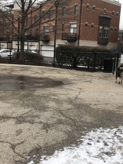University Village Dog Park - Chicago, IL