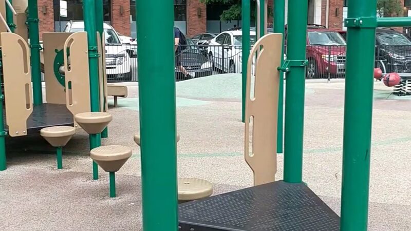 Ward (A. Montgomery) Park - Chicago, IL