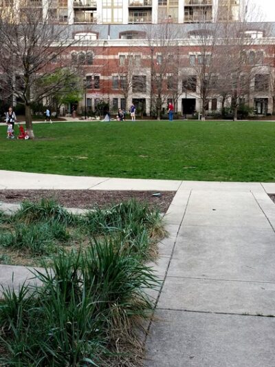 Webster (Daniel) Park - Chicago, IL