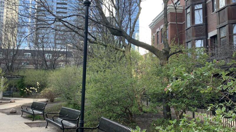 Webster (Daniel) Park - Chicago, IL