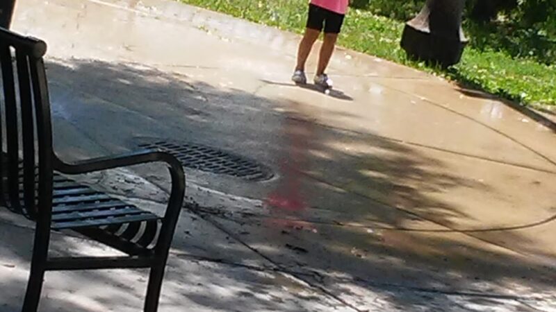 Wilson (John P.) Park - Chicago, IL