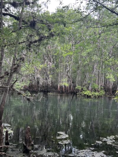 Trail Head Manatee Springs - Chiefland, FL