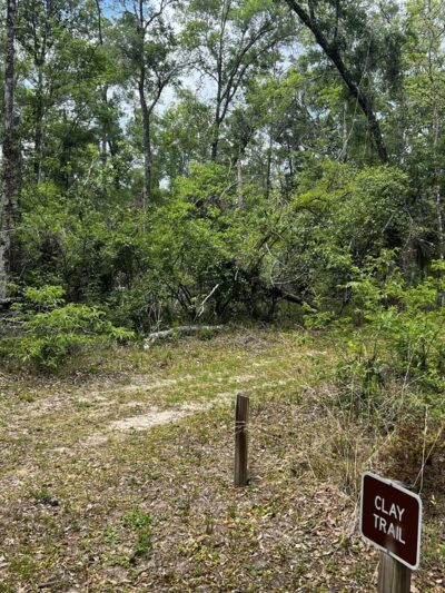 Trail Head Manatee Springs - Chiefland, FL
