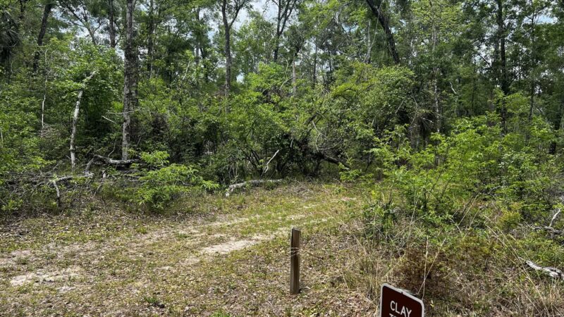 Trail Head Manatee Springs - Chiefland, FL
