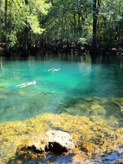 Trail Head Manatee Springs - Chiefland, FL