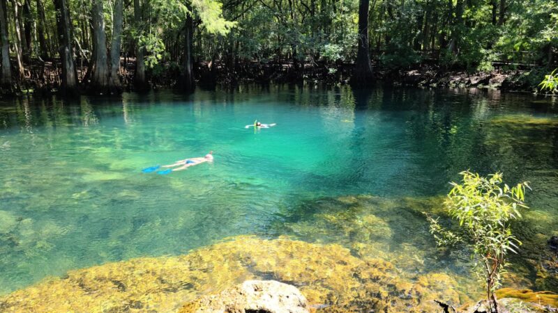 Trail Head Manatee Springs - Chiefland, FL