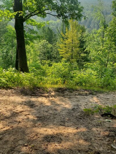 Trail Head Manatee Springs - Chiefland, FL