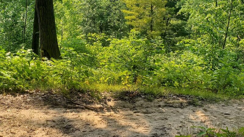 Trail Head Manatee Springs - Chiefland, FL